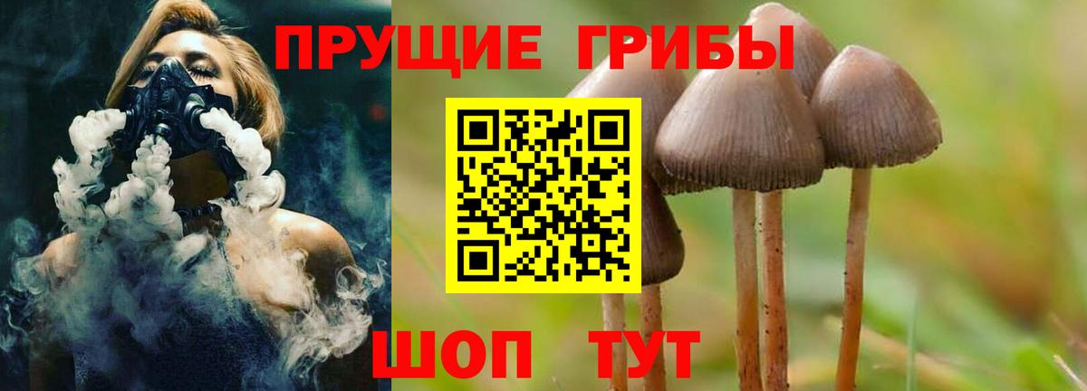 Галлюциногенные грибы мухоморы Сыктывкар